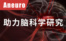 Aneuro，助力腦科學研究